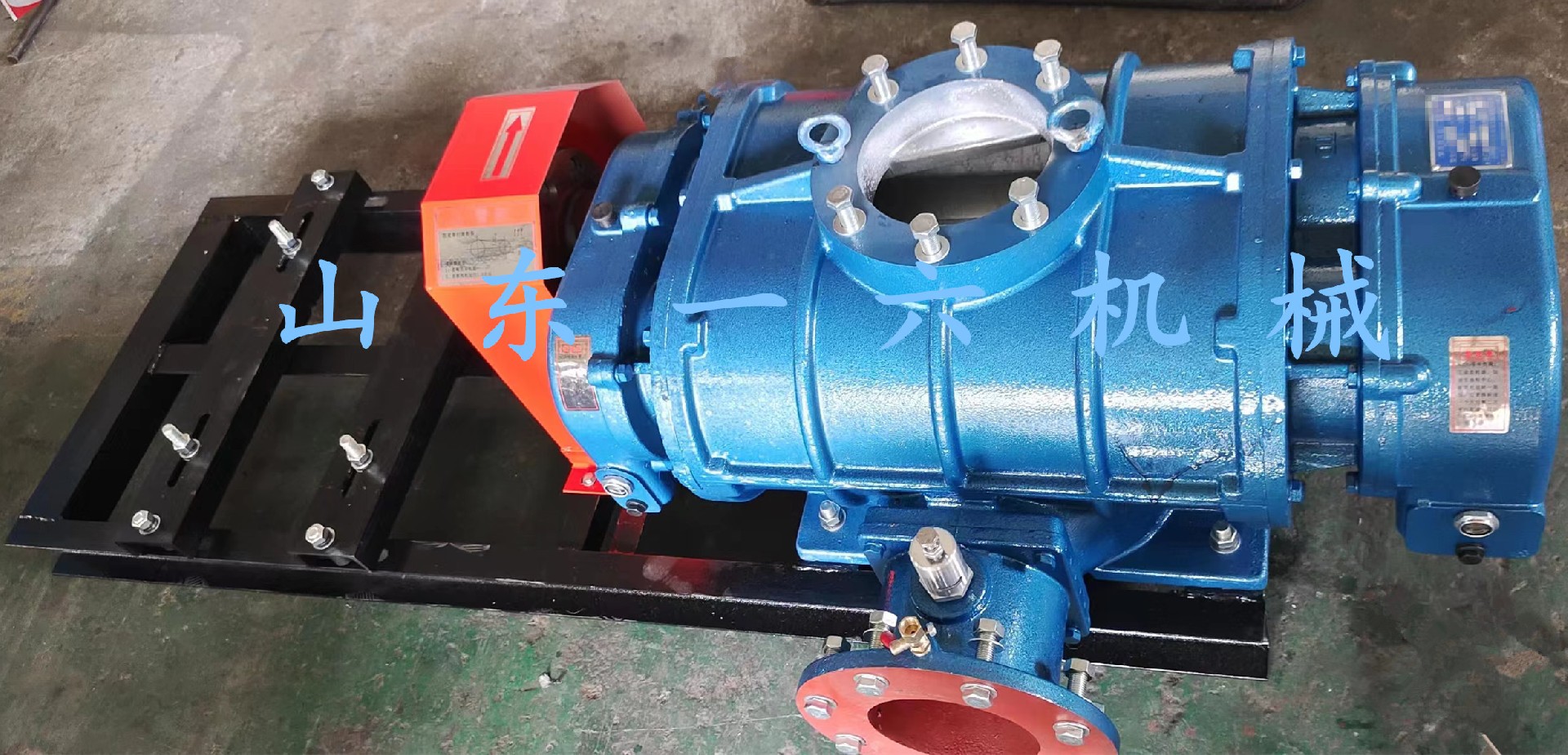 1693035887140980.jpg 1693035887140980.jpg